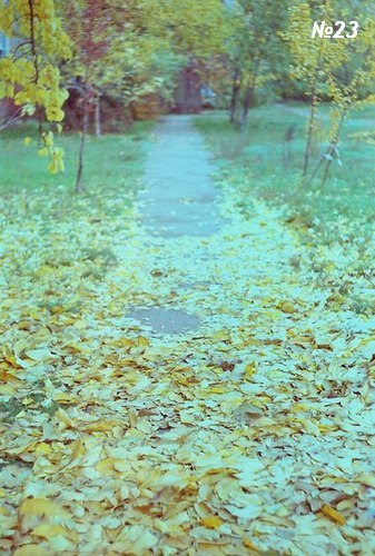 ������������� �����������