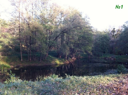 ������������� �����������