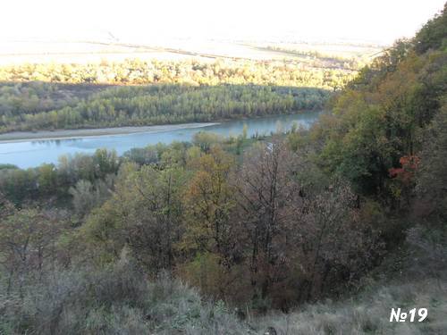 ������������� �����������