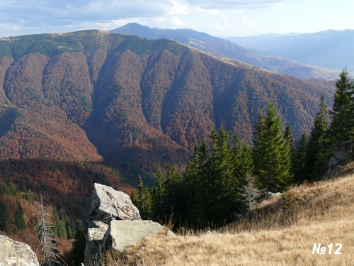 ������������� �����������