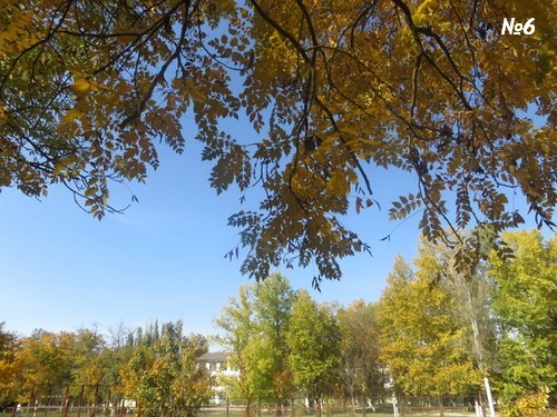 ������������� �����������