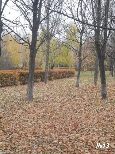 ������������� �����������