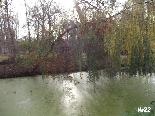 ������������� �����������