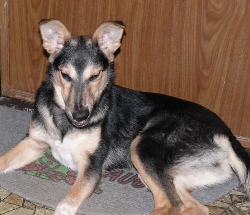 Прикрепленное изображение