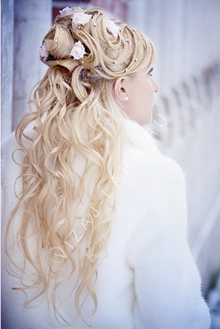 ������������� �����������