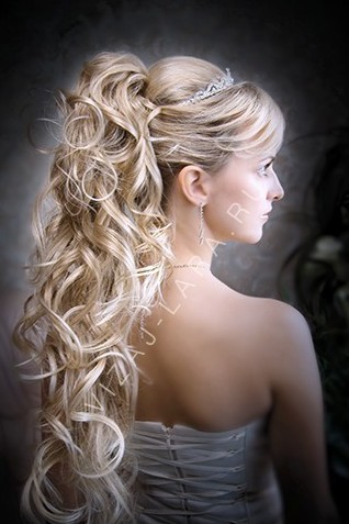 ������������� �����������