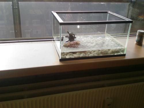 ������������� �����������