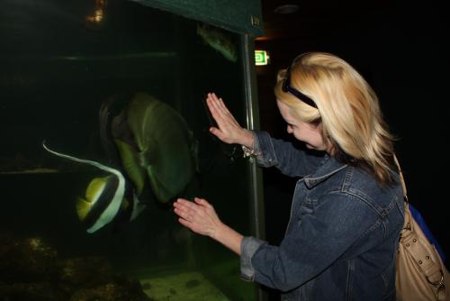 ������������� �����������