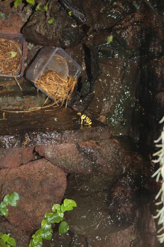 ������������� �����������