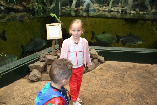 ������������� �����������