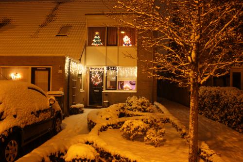 ������������� �����������