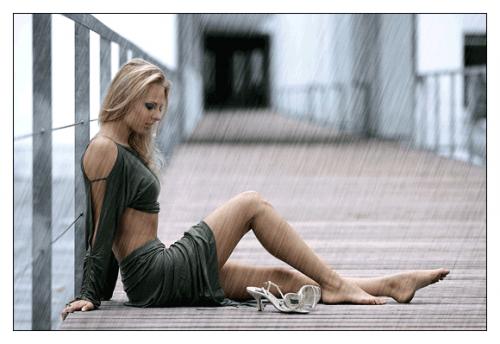 ������������� �����������