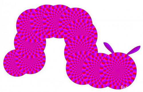 ������������� �����������