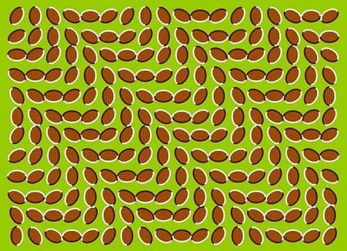 ������������� �����������