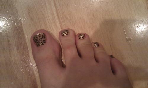 ������������� �����������