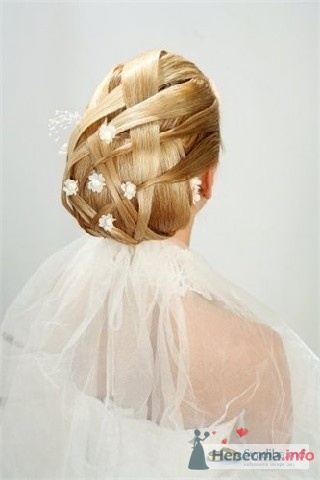 ������������� �����������