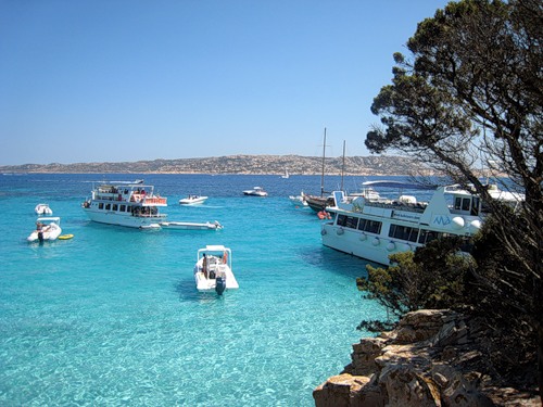 ������������� �����������