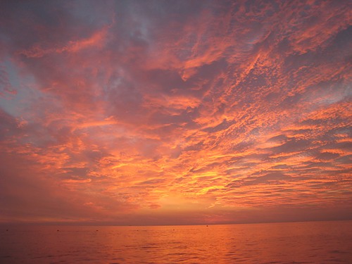 ������������� �����������