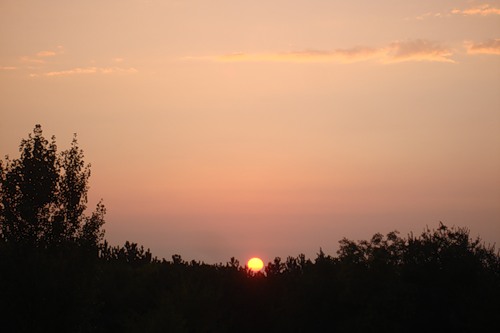 ������������� �����������