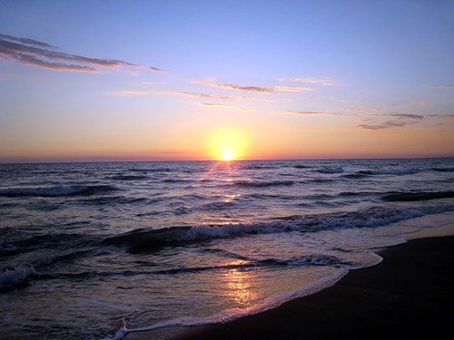 ������������� �����������