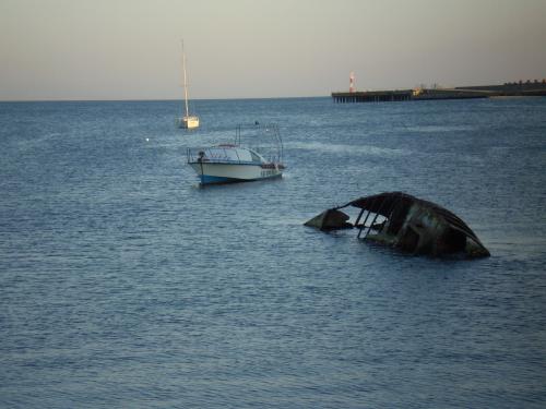 ������������� �����������